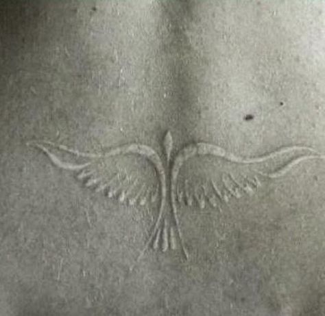 Vogel Tattoo, Dove Tattoos, Tattoo Bird, Dove Tattoo, White Ink Tattoo, 4 Tattoo, 1 Tattoo, Feather Tattoos, White Tattoo