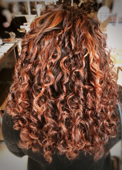 Curly red auburn hair with copper highlights  Curls Ouidad Hair With Copper Highlights, Copper Highlights On Brown Hair, Curly Highlights, Auburn Balayage, Red Hair With Highlights, Dark Curly Hair, Dyed Curly Hair, Red Curls, Red Blonde Hair