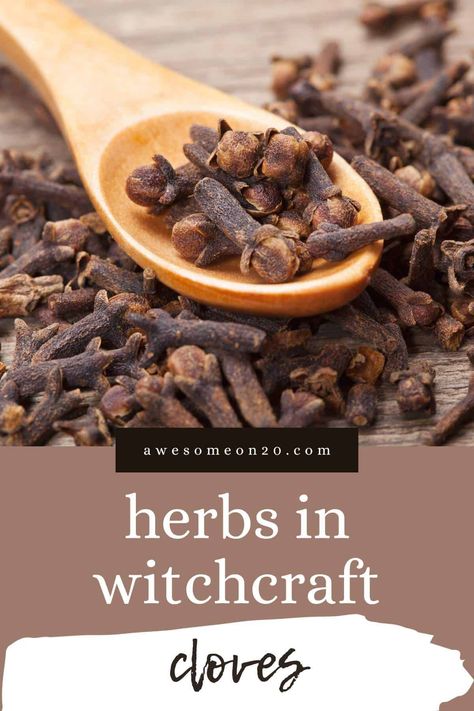 Cloves are commonly used in witchcraft and natural healing. Well-known as a natural remedy for pain, this spiky little spice also host many magical properties. #cloves #witchcraft #herbsinwitchcraft Clove Uses Witchcraft, Cloves Magickal Properties, Clove Witchcraft, Magical Properties Of Cloves, Herbs In Witchcraft, Essential Oil Meanings, Plant Magick, Magical Herbs Witchcraft, Kitchen Magick