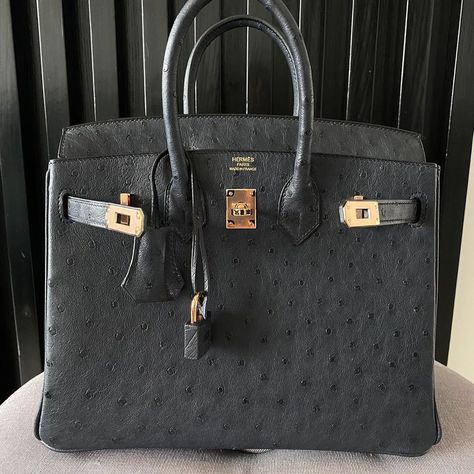 Birkin Ostrich, Birkin 25 Black, Ostrich Birkin, Hermes Birkin 25, Birkin 25, Luxury Bag, Hermes Handbags, Bvlgari Bags, Celine Bag