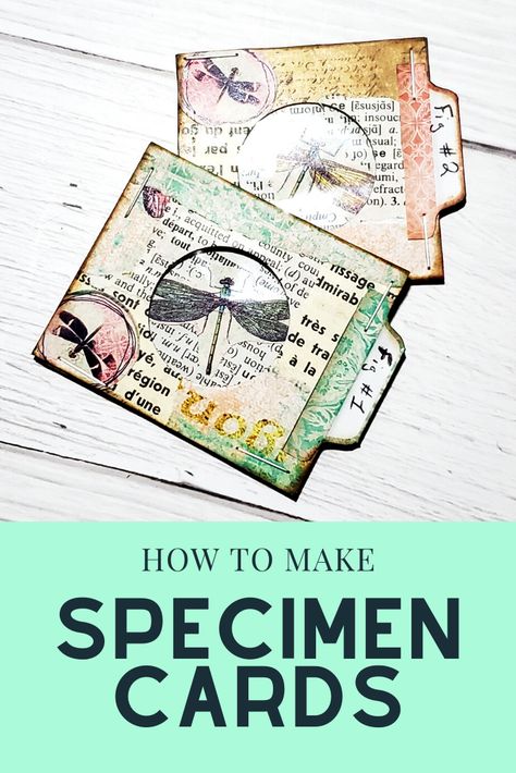 Printable Specimen Cards, How To Make Specimen Cards, Junk Journal Specimen Cards, Specimen Card Template, Free Printable Specimen Cards, Specimen Cards Diy, Altered Cards Ideas, Junk Journal Ideas Inspiration Tim Holtz, Junk Journal Inserts Diy