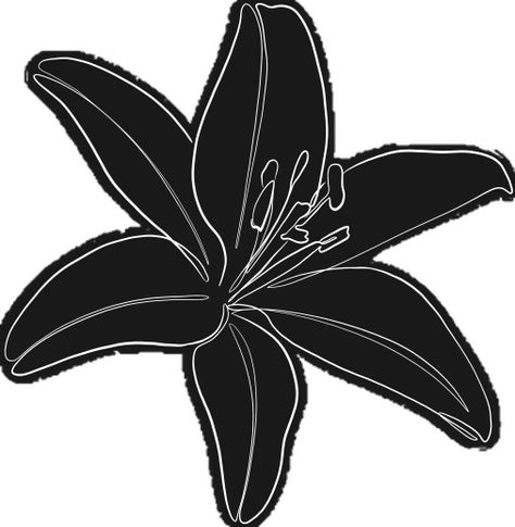 Lily Flower Line Art, Lily Silhouette, Flower Line Art, Be Unique, Lily Flower, Line Art, The Internet, The Globe, Globe