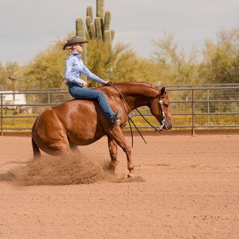 Kaylee Naylor with her AQHA reining gelding “Spookamatic” and her miniature horse RJ in Cave Creek, Arizona. Kaylee shows in NRHYA and AQHYA reining events under the guidance of Naylor Performance Horses. Reining Horses Photography, Reigning Horses, Horse Disciplines, Cave Creek Arizona, Horse Senior Pictures, Horses Western, Ranch Riding, Western Pleasure Horses, Horse Reining