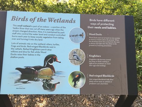 Zoo Signage Design Ideas, Trail Signage, Bird Exhibition, Nature Trail Signs, Zoo Wayfinding, Zoo Interpretive Signage, Donor Plaques, Zoo Signage, Interpretive Signage