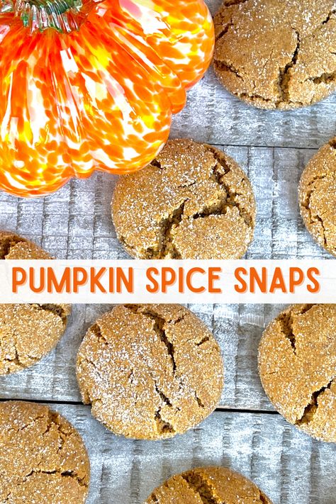 Pumpkin Snap Cookies, Gluten Free Pumpkin Spice, Pumpkin Gingerbread, Fun Pumpkins, Ginger Snap Cookies, Ginger Snap, Fall Cookies, Gluten Free Pumpkin, Pumpkin Cookies