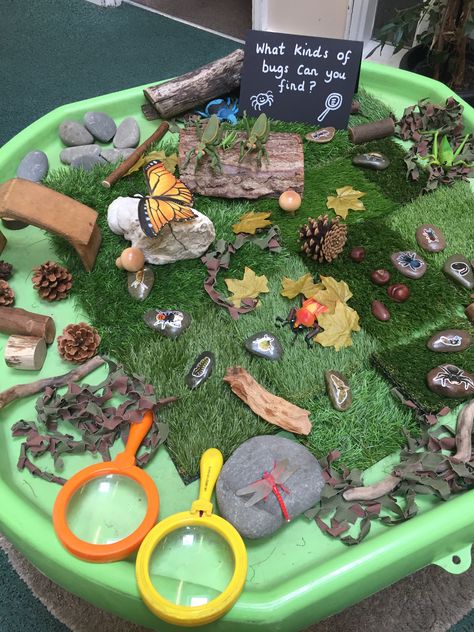 Insect Small World Play, Small World Play Ideas Natural Materials, Minibeasts Preschool Activities, Bugs Tuff Tray, Minibeast Tuff Tray Eyfs, Spring Theme Tuff Tray, Forest Provocation, Spring Provocations For Kindergarten, Reggio Bug Activities