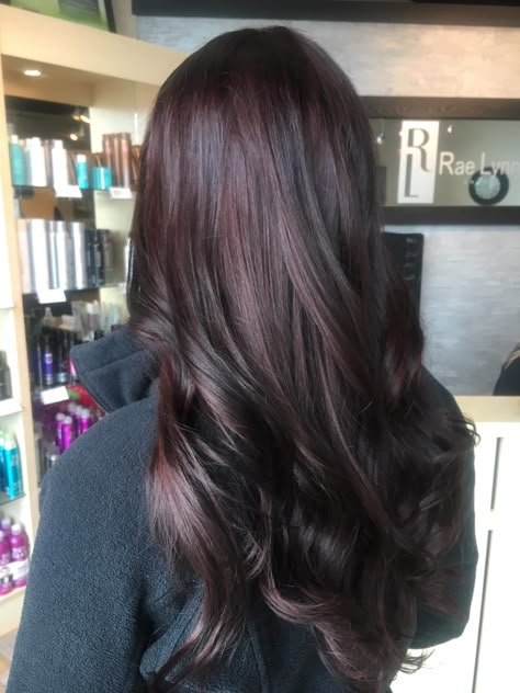 Black Hair Mahogany Balayage, Mahogany Balayage Hair, Plum Tinted Brown Hair, Dark Black Plum Hair Color, Black Cherry Plum Hair Color, Burgundy Hair Brunettes, Dark Brown Purple Tint Hair, Subtle Burgundy Balayage, Thick Brown Hair Styles