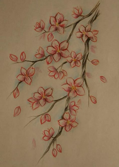 cherry blossom Flower Drawing Cherry Blossom, Cherry Blossom Simple Drawing, Cheery Blossoms Drawing Simple, Asian Drawing Sketch, How To Draw Cherry Blossoms, Japanese Flower Drawing, Sakura Tree Drawing, Cherry Blossom Tree Drawing, Blossom Tree Drawing