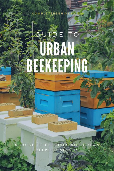 Keeping Bees In The City, Small Space Beekeeping, Honey Bee Setup, Backyard Beekeeping Setup, Bee Feeding Station, Raising Bees For Beginners, Urban Farming Backyard, Bee Keeping For Beginners, Micro Homestead