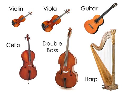 Instrument Families, Guitar Classes, Family Worksheet, Types Of Guitar, Violin Bow, Kids Music, Shadow Photos, Double Bass, Girly Art Illustrations