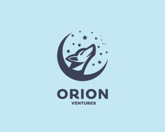 ORION Fitness Club, Vehicle Logos, Branding Design, Company Logo, Tech Company Logos, Branding, ? Logo, Quick Saves, Design