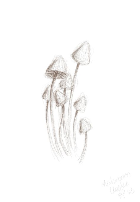 Digital sketch of a cluster of mushrooms inspired by the steam pattern on my bathroom mirror when I jumped out of the shower one night! Toadstools Drawing, Mushroom Drawing Ideas Easy, Drawing Ideas Nature Easy, Nature Things To Draw, Mushroom Sketch Ideas, Sketching Mushrooms, Charcole Sketch Easy, Mushroom Fairy Drawing, Weird Sketches Inspiration