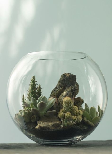 Mini Desert Terrarium Jardin Zen Miniature, Desert Terrarium, Mini Desert, Open Terrariums, Cactus Terrarium, Diy Succulent Terrarium, Desert Style, Beautiful Terrariums, Mini Terrarium