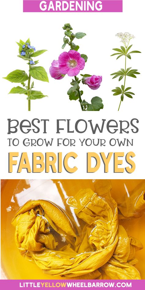 You can create your own natural fabric dyes with plants you can find in your own flower garden. We've created a list of common flowers that can be used to make your own dyes for any DIY or craft projects. Take a look, you might already have some of these flowers growing in your garden! How To Make Dye From Flowers, Natural Dye Plants, Flowers For Eco Printing, Natural Flower Dyeing, Natural Dye Flowers, Plant Dyes Diy, Flowers For Dyeing, Dye Garden Plants, Dye Garden Ideas