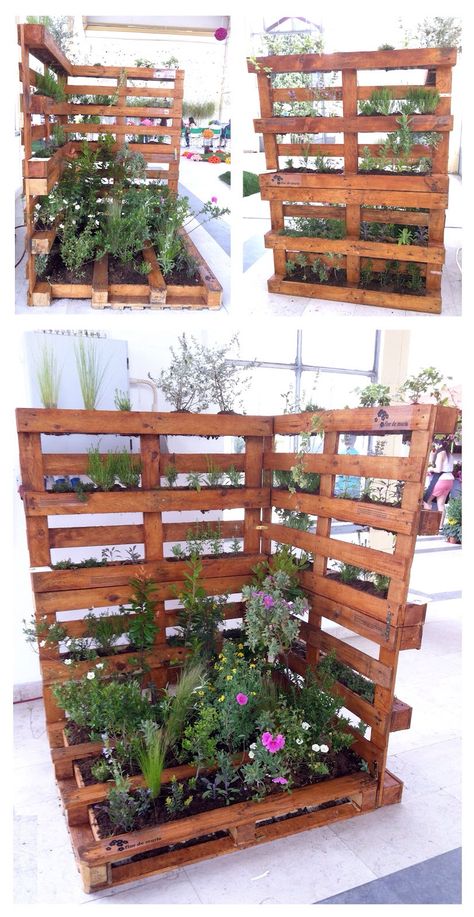 Pal Raised Garden Beds Pallets, Pallet Planters Ideas, Marian Garden, Diy Garden Decor Projects, Vertical Pallet Garden, Spacious Backyard, Pallet Projects Garden, Pallet Planter, Herb Planters