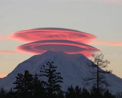 Lenticular clouds, technically known as altocumulus standing lenticularis, are stationary lens-shaped clouds that form at high altitudes, normally aligned at right-angles to the wind direction. Lenticular Clouds, Wow Photo, 달력 디자인, Matka Natura, Belle Nature, Mt Rainier, Pink Clouds, Naha, Chiaroscuro