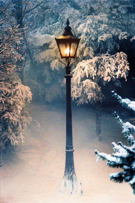 ❤ Boulevard of dreams ❤ Narnia Lamp Post, Xmas Window, Forest Mural, Christmas Paintings On Canvas, Happy Merry Christmas, Winter Nature, Easy Canvas Painting, Décor Boho, Chronicles Of Narnia