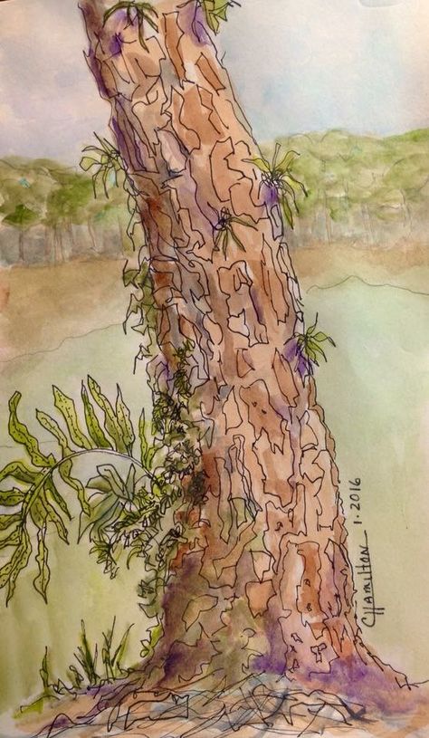 Tree bark Tree Bark Drawing, Bark Drawing, Elements Of Design Texture, Tree Bark Texture, Bark Texture, Tree Drawings Pencil, Tree Textures, Texture Drawing, Watercolor Tree