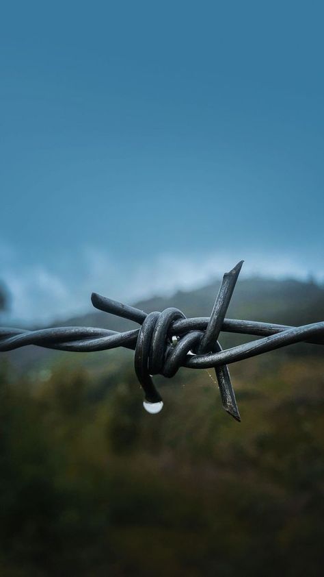 Barbed Wire Wallpaper, Wallpapers Hd 4k, 2160x3840 Wallpaper, Best Wallpapers, Wallpapers For Desktop, Barbed Wire, Wallpapers Hd, For Desktop, Mobile Phones