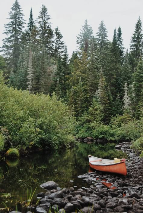 Northern Attitude, Algonquin Provincial Park, Cabin In The Mountains, Crunchy Granola, Vacation Days, Adventure Aesthetic, Life Board, Canoeing, Wisteria