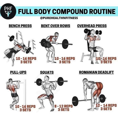 Pin by Melissa Bevan on Workout in 2022 | Full body calisthenics workout, Full body weight workout, Weight training workouts Full Body Calisthenics Workout, Full Body Weight Workout, Full Body Workout Plan, Workout Gym Routine, Trening Sztuk Walki, Whole Body Workouts, Full Body Workout Routine, Workout Splits, Lifting Workouts