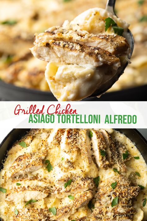 Olive Garden Recipe, Asiago Chicken, Tortellini Alfredo, Copycat Olive Garden, Grilled Chicken Tenders, Olive Garden Recipes, Chicken Tortellini, Tortellini Recipes, Chicken Recipes Video