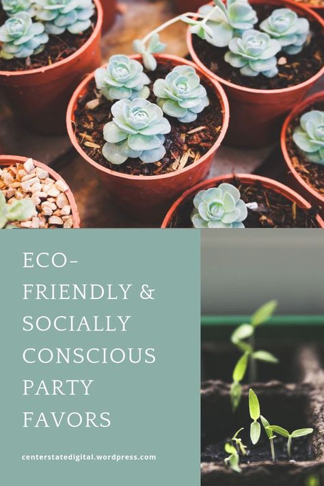 Zero Waste Party Favors, Ecofriendly Party, Birthday Party Party Favors, Eco Friendly Birthday Party, Diy Birthday Party Favors, Cat Party Favors, Kids Party Bags Fillers, Pink Perennials, Party Favors For Adults