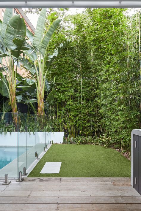 If you're looking for a natural way to keep nosy neighbours out of your backyard, planting some bamboo is a great option. The tall stalks make for a lush and leafy privacy screen that'll have you feeling like you're in your own little world. Bamboo In Garden Design, Bamboo Hedge Privacy Screens, Screen Neighbours Backyard Privacy, Tropical Screening Plants, Tall Screening Plants, Pool Tropical Landscaping, Tropical Privacy Landscaping, Privacy Landscaping Small Yard, Tall Tropical Plants