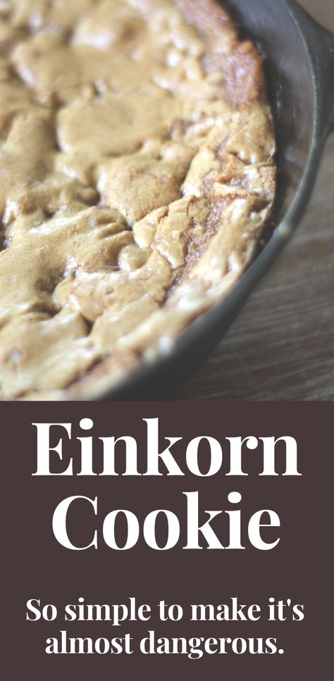 Einkorn Berry Recipes, Einkorn Pop Tarts, Einkorn Flour Cookies, Einkorn Flour Desserts, Einkorn Chocolate Cake, Einkorn Dessert Recipes, Einkorn Flour Recipes, Einkorn Desserts, Ancient Wheat