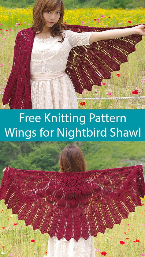 Lace Shawl Pattern, Feathered Wings, Crochet Shawl Pattern Free, Handmade Yarn, Shawl Crochet, Lace Knitting Patterns, Minecraft Pixel Art, Shawl Knitting Patterns, Shawl Patterns