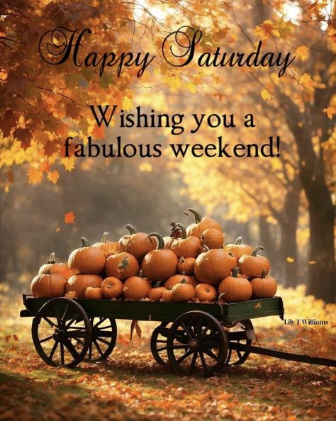 Saturday Morning Greetings, Happy Saturday Quotes, Saturday Morning Quotes, Good Morning Animals, Good Morning Happy Saturday, Good Morning Saturday, Thursday Quotes, Happy Weekend Quotes, Weekend Quotes