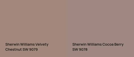 Sherwin Williams Velvety Chestnut SW 9079: 4 real home pictures Velvety Chestnut Paint, Sw Velvety Chestnut, Sherwin Williams Velvety Chestnut, Velvety Chestnut Sherwin Williams, Moody Bedroom, Spare Bedroom, Paint Chips, Home Pictures, Coordinating Colors