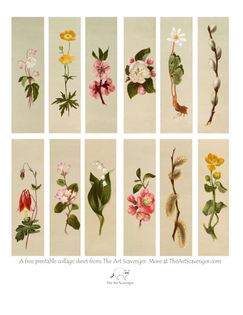 Free Printable Flower Collage Sheet — The Art Scavenger Vintage Bookmarks Printable Free, Flower Stickers Free Printable, Bookmarks To Print Free Printable, Free Printable Bookmarks Aesthetic, Bookmark Printable Aesthetic, Vintage Bookmarks Printable, Cute Bookmarks Printable, Journal Stickers Free Printable, Printable Bookmarks Aesthetic