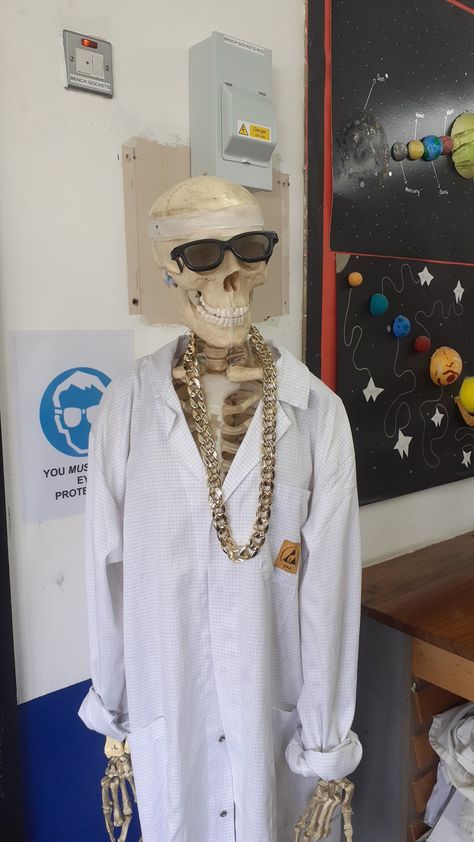 I fuckin love this skeleton in my old Science teacher's classroom. Chemistry Teacher Classroom, High School Science Teacher Aesthetic, Highschool Science Classroom, Black Scientists Aesthetic, High School Art Teacher Aesthetic, Science Room Aesthetic, Cool Teacher Aesthetic, Science Classroom Aesthetic, Science Class Aesthetic