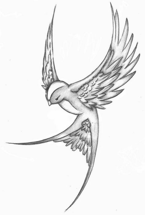 Tattoo Drawings Of Flowers A Bird Tattoo, Sparrow Tattoo Design, Swallow Tattoo Design, Draw A Bird, Tier Tattoo, Sparrow Tattoo, Cool Tattoo Drawings, Swallow Tattoo, Drawing Hands