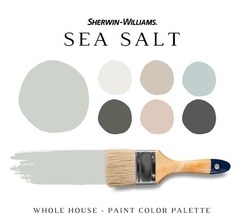 Sherwin Williams SEA SALT Paint Color Palette Interior and - Etsy Sherwin Williams Grey, Paint Sheen Guide, Paint Pallette, Material Color Palette, Sherwin Williams Alabaster, Sherwin Williams Color Palette, Sea Salt Sherwin Williams, Sherwin Williams White, Balanced Beige