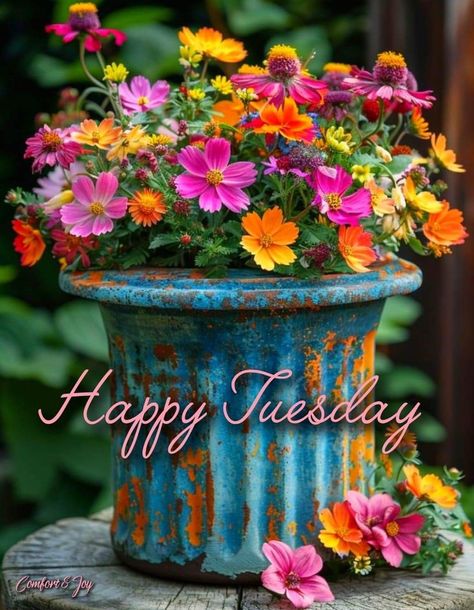 Good Morning Tuesday Wishes, Great Day Quotes, Happy Tuesday Morning, Tuesday Greetings, Hello Tuesday, Good Morning Tuesday, Happy Friday Quotes, Evening Greetings, Good Morning Beautiful Quotes