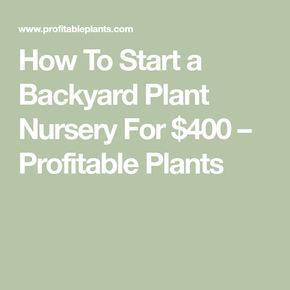 Backyard Nursery, Raised Garden Bed Plans, Cedar Raised Garden Beds, Backyard Trees, Garden Tags, Backyard Plants, Tree Nursery, Flower Business, Garden Nursery