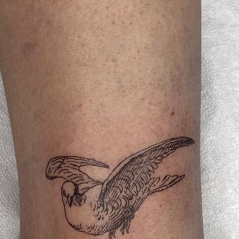 🅕🅡🅐🅝🅒🅔🅢🅒🅐    🅟🅐🅝🅝🅞🅝🅔 on Instagram: "𝕷𝖎𝖑’ 𝕯𝖔𝖛𝖊 🪽  #dove #dovetattoo #littletattoo #linework #lineworktattoo #vintageillustration #vintageaesthetic #oldstyletattoo #animaltattoo #engraving #animal #engravingtattoo #etchtattoo #etching #etchingtattoo #colomba #fineline #finelinetattoo #tattoonapoli #fp❤️🚬" Dove Tattoo Men, Old Style Tattoos, Etching Tattoo, Engraving Tattoo, Dove Tattoo, Line Work Tattoo, Little Tattoos, Fine Line Tattoos, Vintage Aesthetic