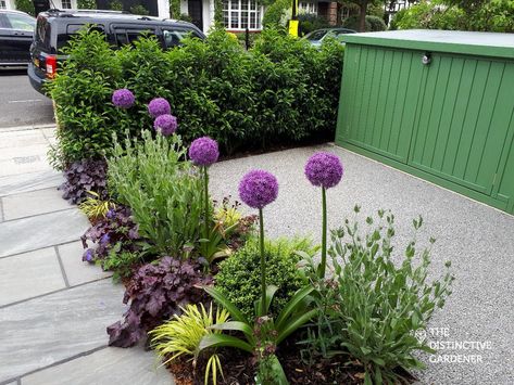 Cottage Front Garden, Small English Garden, Front Garden Path, Small Front Garden Ideas, Victorian Front Garden, Front Garden Ideas Driveway, Garden Ideas Driveway, Front Door Plants, Garden Ideas Uk