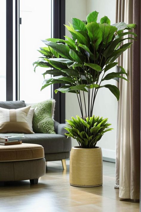 Elevate your living room with the lush beauty of silk plants. From delicate ferns to bold palms, these realistic faux foliage add a touch of nature without the maintenance. Discover inspiring ideas for incorporating silk plants into your home decor. Living Room Plants Decor, Silk Plants, Lush, Living Room Decor, Room Decor, Silk, Living Room, Plants, Beauty