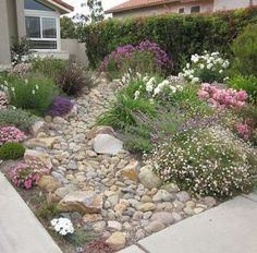 Shed Inspiration, Rock Yard, Xeriscape Landscaping, Small Front Gardens, Lawn Alternatives, Walkway Landscaping, Pathway Landscaping, Small Front Yard Landscaping, Front Garden Design