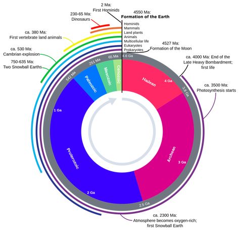 This clock representation shows some of the major units of geological time and definitive events of Earth history. The Hadean eon represents the time before fossil record of life on Earth; its upper boundary is now regarded as 4.0 Ga (billion years ago).[1] Other subdivisions reflect the evolution of life; the Archean and Proterozoic are both eons, the Palaeozoic, Mesozoic and Cenozoic are eras of the Phanerozoic eon. The two million year Quaternary period, the time of recognizable humans, i... Geologic Time Scale, Dinosaur History, Subduction Zone, History Of Earth, Premier Lig, 10 Interesting Facts, Earth Surface, Plate Tectonics, Photosynthesis