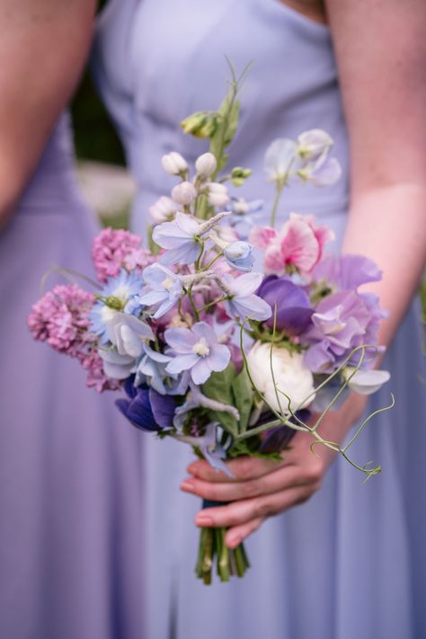 This sweet petite bridesmaids bouquet has Marianne Blue anemone, Streamers Chocolate Sweet Pea, Sky Blue BellaDonna Delphinium, Lavender Delphinium, Purple Lilac, White Ranunculus, andSweet Pea vine woven together in this spring June 3 wedding on Lake Sebago in Maine. Ombre wedding in pink purple and blue for bi flag.  Fresh spring farm-grown blooms Blue Spring Bouquet, Lupine Flowers Wedding, Petunia Wedding Bouquet, Blue Purple Bouquet Wedding, Light Blue And Purple Wedding Flowers, Lavender Pink And Blue Wedding, Pink Blue And Purple Wedding Theme, Purple Bouquets Wedding, Purple And Pink Wedding Flowers