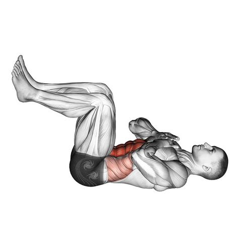 The tuck crunch is a beneficial exercise used to target the rectus abdominis or ab muscles. It also is far easier to perform than the typical sit-up. #coreworkout #abs #tuckcrunch #abdominals #strengthtraining #situps Tuck Crunch, Ab Muscles, Rectus Abdominis, Major Muscles, Muscle Groups, Sit Up, Core Workout, Strength Training, Weight Lifting