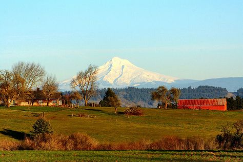 Rural Oregon Farm Rural Oregon, Oregon Farm, Farm Aesthetic, Oregon Life, Beautiful Oregon, Green Acres, Outdoor Pictures, Mount Hood, Business Space