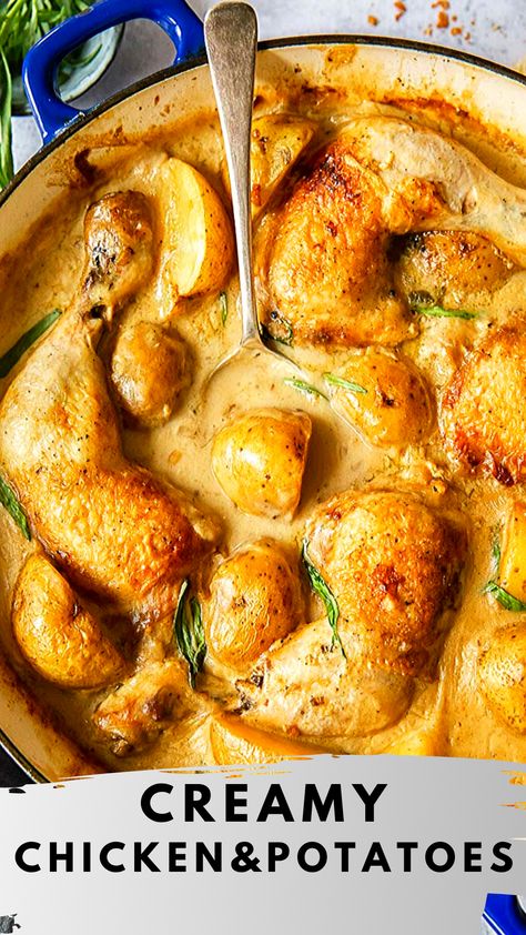 Crispy-skinned chicken legs and baby potatoes in a delicious white wine and cream sauce with a hint of tarragon. French cooking at its best! Potatoes In Cream Sauce, Creamy Chicken And Potatoes, French Chicken Recipes, Tarragon Chicken, Chicken Leg Recipes, Chicken And Potatoes, Creamy Recipes, French Dishes, Chicken Potatoes