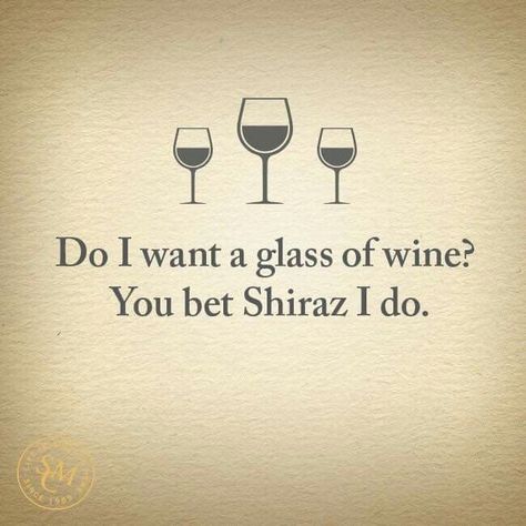 Do I Want a Glass of Wine? ? 🍷🍷🍷🍷 You bet Shiraz I Do.. 😄😄😄 Wine Bag Quotes, Wine Lover Quotes, Shiraz Wine, Wine Puns, Wine Jokes, Wine Meme, Wine Glass Sayings, Wine Journal, Wine Quotes Funny