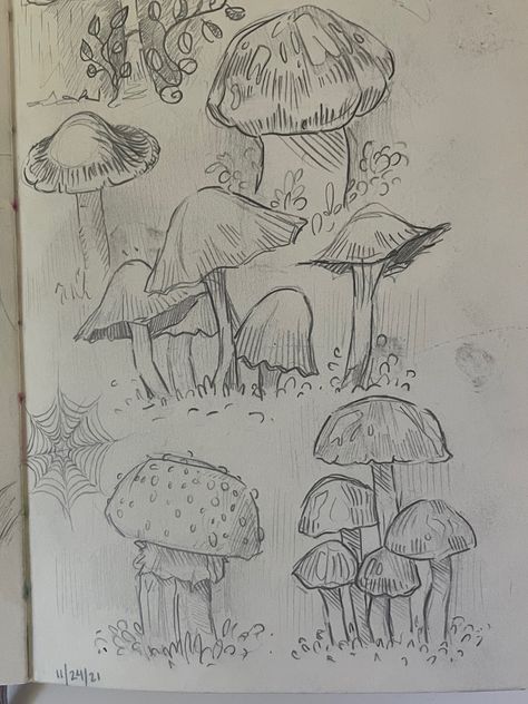 Mushroom World Drawing, Whimsical Sketches, Mushroom Sketch, Arte Punk, 그림 낙서, Cute Sketches, Nature Drawing, Cute Doodle Art, Doodle Art Designs