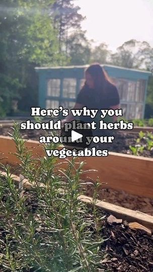 Garden School, Planting Tips, Benefits Of Gardening, Grow Food, Victory Garden, Garden Veggies, Garden Harvest, Garden Help, Veg Garden